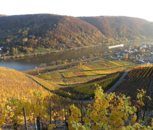 HerbstfarbenMosel21 07112025-010