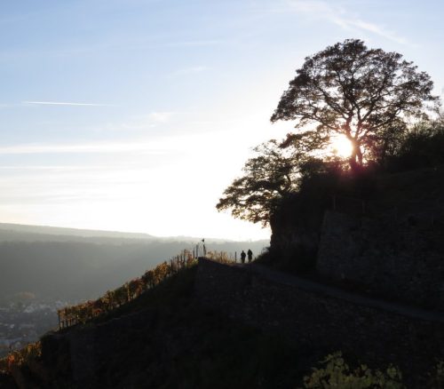 HerbstfarbenMosel21 07112025-011