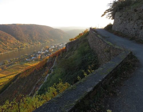 HerbstfarbenMosel21 07112025-012