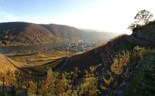 HerbstfarbenMosel21 07112025-015