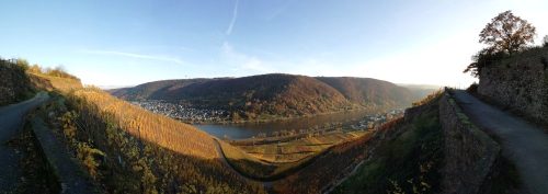 HerbstfarbenMosel21 07112025-017
