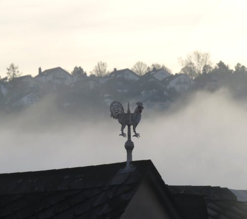 HerbstfarbenMosel22 13112025-007