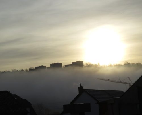 HerbstfarbenMosel22 13112025-008