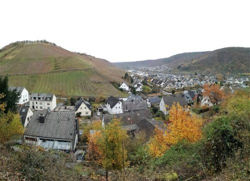 HerbstfarbenMosel23 14112025-002
