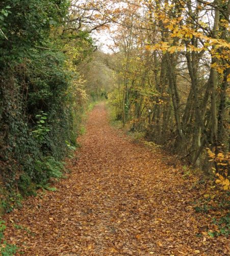 HerbstfarbenMosel23 14112025-003