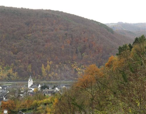 HerbstfarbenMosel23 14112025-005