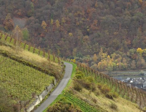 HerbstfarbenMosel23 14112025-006