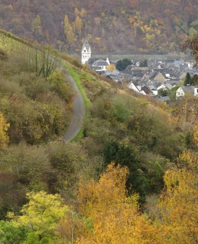HerbstfarbenMosel23 14112025-008