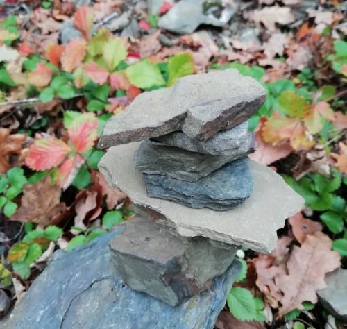 HerbstfarbenMosel23 14112025-008a