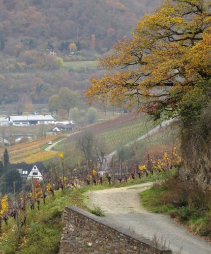 HerbstfarbenMosel23 14112025-009