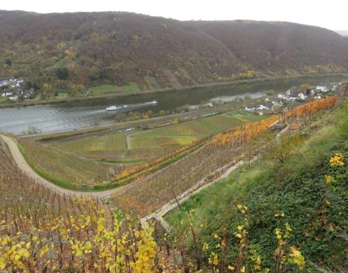 HerbstfarbenMosel24 15112025-001