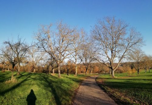 HerbstfarbenMosel25 21112025-004