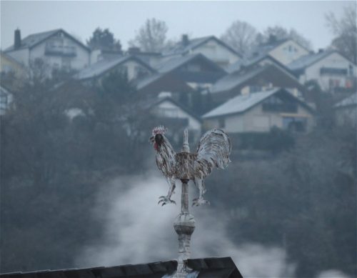 WinteranderMosel01 22112025-001