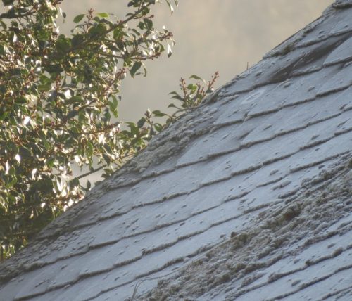 WinteranderMosel01 22112025-002