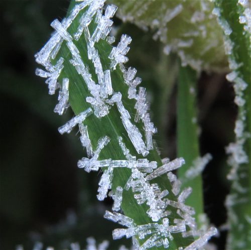 WinteranderMosel01 22112025-003