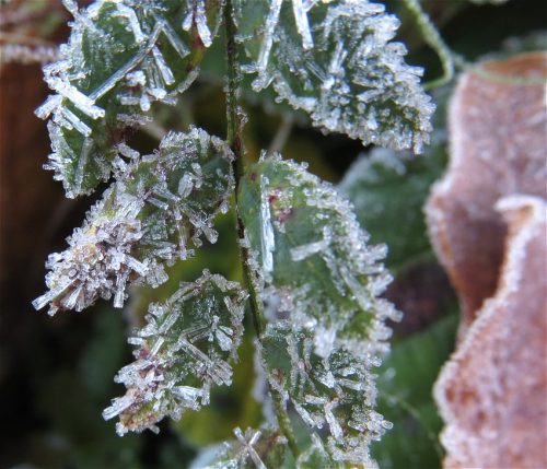 WinteranderMosel01 22112025-004