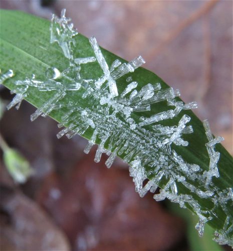 WinteranderMosel01 22112025-005