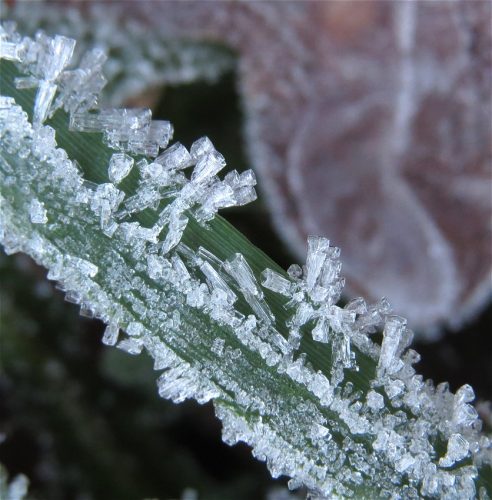 WinteranderMosel01 22112025-006