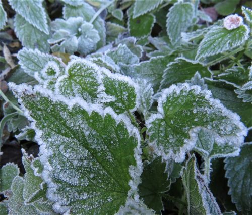 WinteranderMosel01 22112025-007