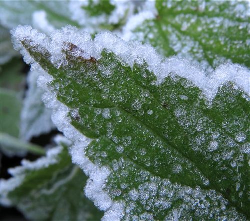 WinteranderMosel01 22112025-008