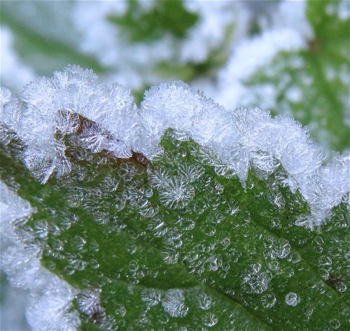 WinteranderMosel01 22112025-009