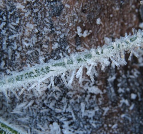 WinteranderMosel01 22112025-010