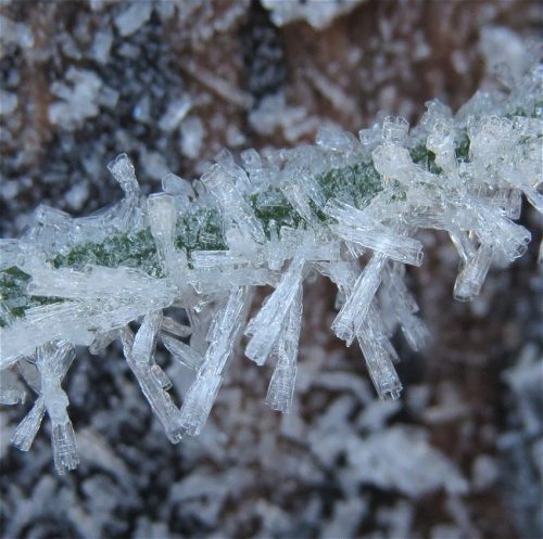 WinteranderMosel01 22112025-011