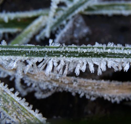 WinteranderMosel01 22112025-012