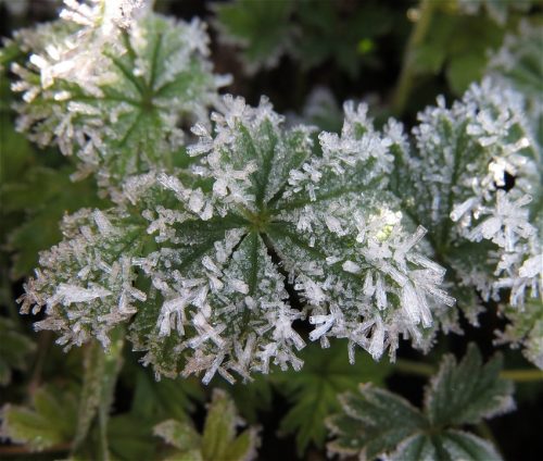 WinteranderMosel01 22112025-014