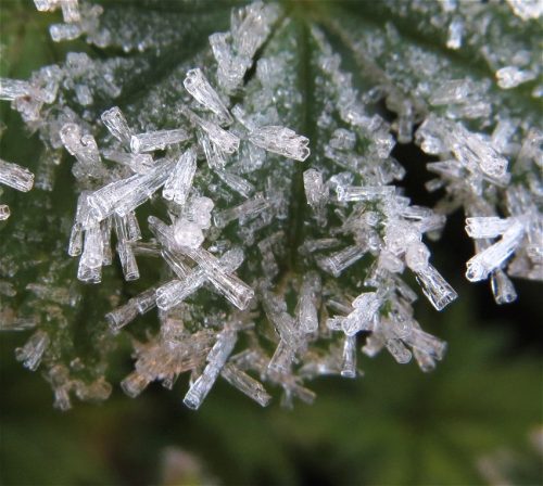 WinteranderMosel01 22112025-015