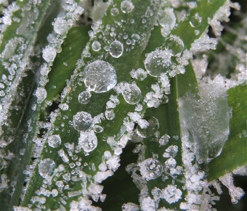 WinteranderMosel01 22112025-017