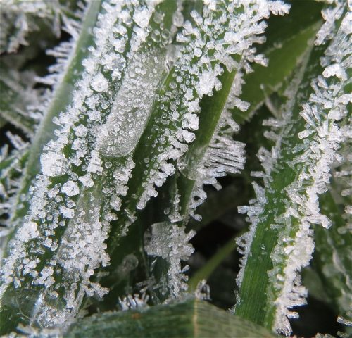 WinteranderMosel01 22112025-018