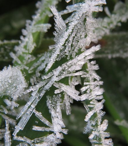 WinteranderMosel01 22112025-020