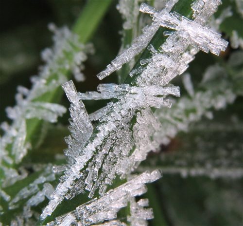 WinteranderMosel01 22112025-021