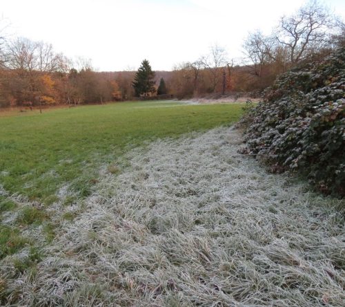 WinteranderMosel01 22112025-022