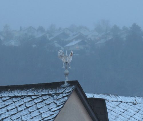 WinteranderMosel02 23112025-002