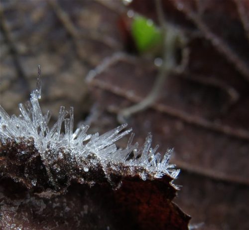 WinteranderMosel04 25122025-001