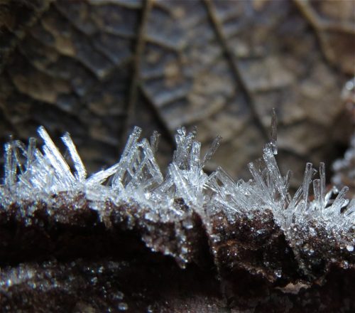 WinteranderMosel04 25122025-002