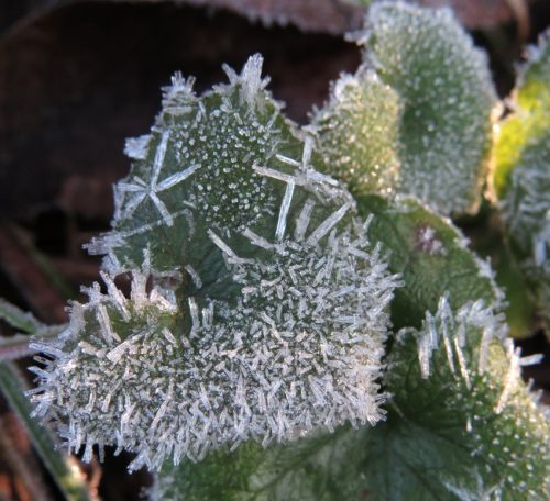 WinteranderMosel04 25122025-003