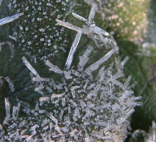 WinteranderMosel04 25122025-004