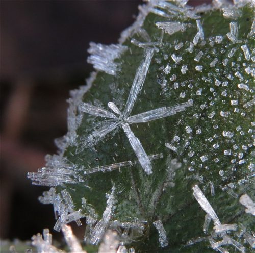 WinteranderMosel04 25122025-005