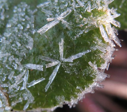 WinteranderMosel04 25122025-007