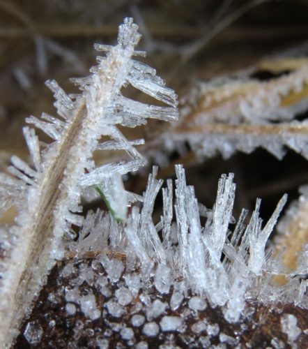 WinteranderMosel05 26122025-002