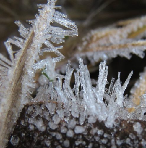 WinteranderMosel05 26122025-003