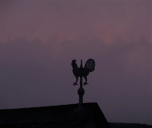 WinteranderMosel06 27122025-000