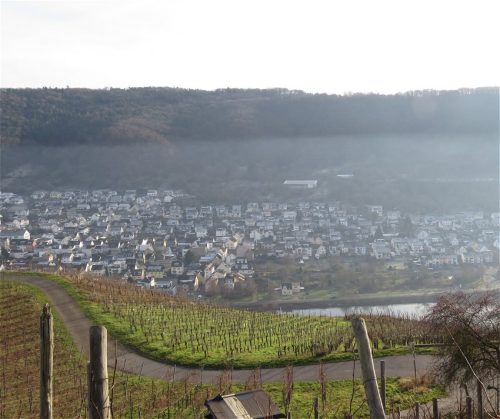 WinteranderMosel06 27122025-004