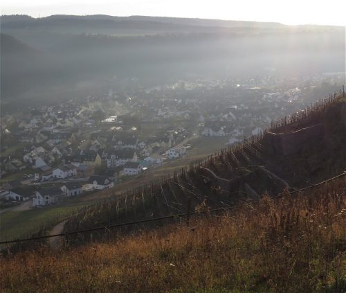 WinteranderMosel06 27122025-005