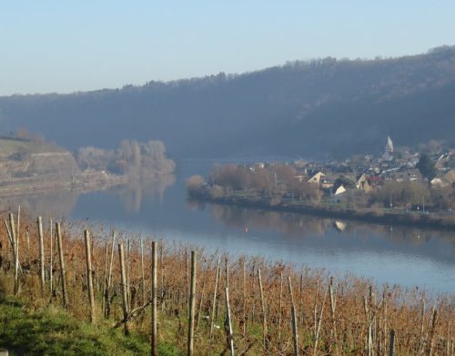 WinteranderMosel07 28122025-001