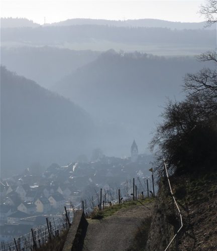 WinteranderMosel07 28122025-003