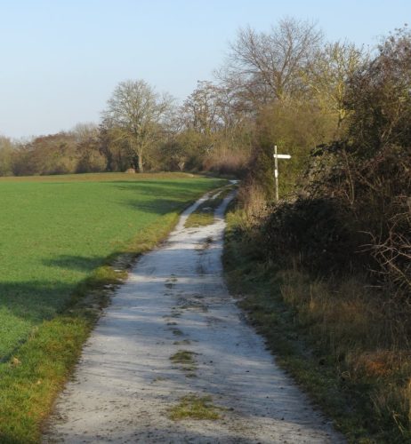 WinteranderMosel08 30122025-001